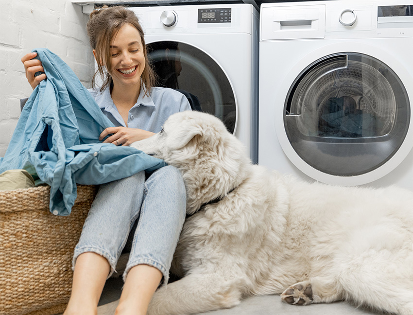 Lady doing laundry with dog
