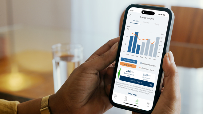 smart phone displaying app