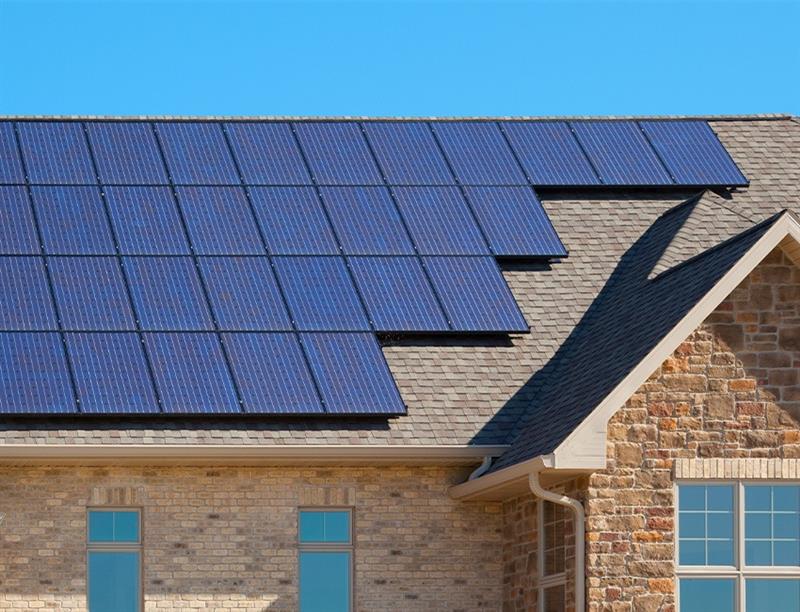 Happy couple checking phone