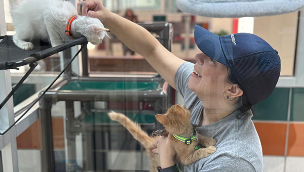 Houston Humane Society