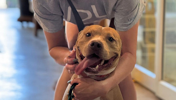 Houston Humane Society