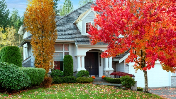 Variable Rate House with Trees in the Fall