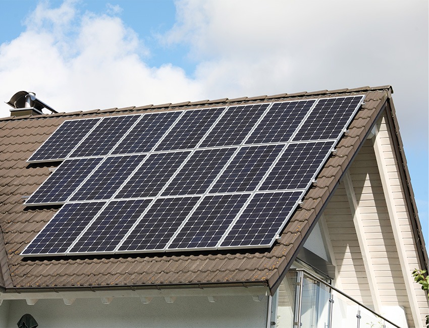 Happy couple checking phone