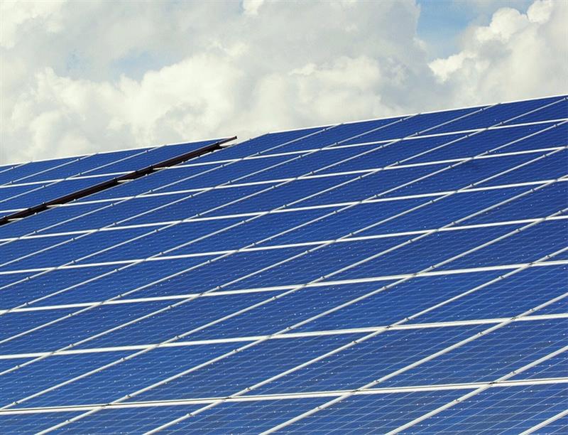 Happy couple checking phone