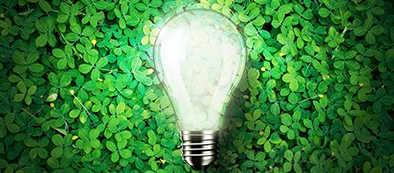 Lit light bulb laying on bed of grass