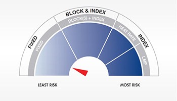 Fixed Pricing Risk Level